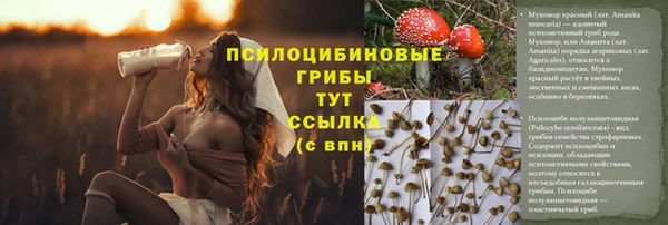 скорость mdpv Богданович