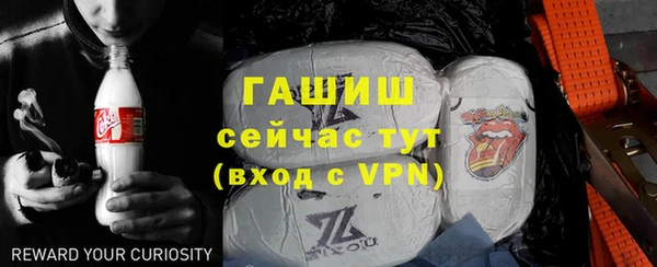 ECSTASY Бородино
