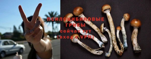 стафф Богородицк