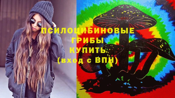 apvp Богородск