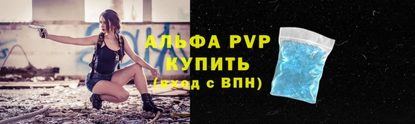 apvp Богородск
