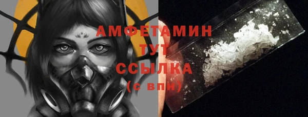 ECSTASY Бородино