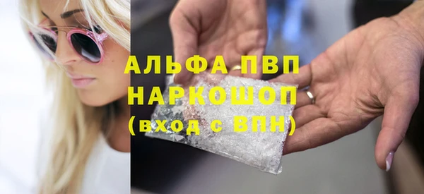 ECSTASY Бородино