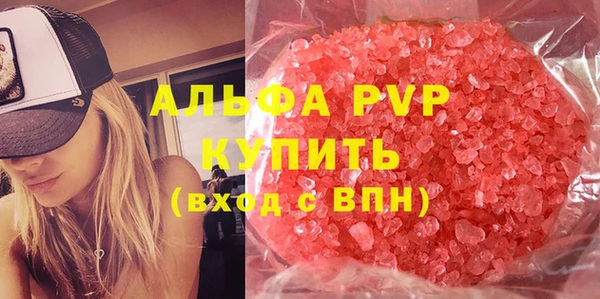ECSTASY Бородино