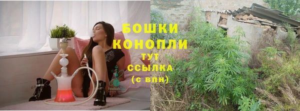стафф Богородицк