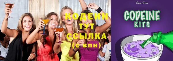 ECSTASY Бородино
