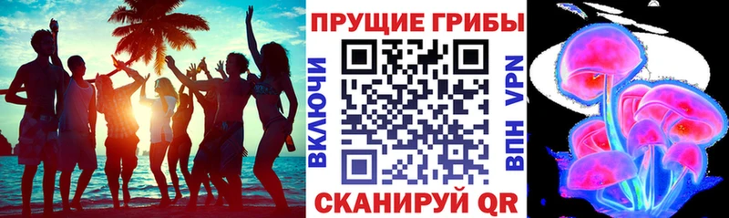 Псилоцибиновые грибы Cubensis  где купить   blacksprut зеркало  Великие Луки 